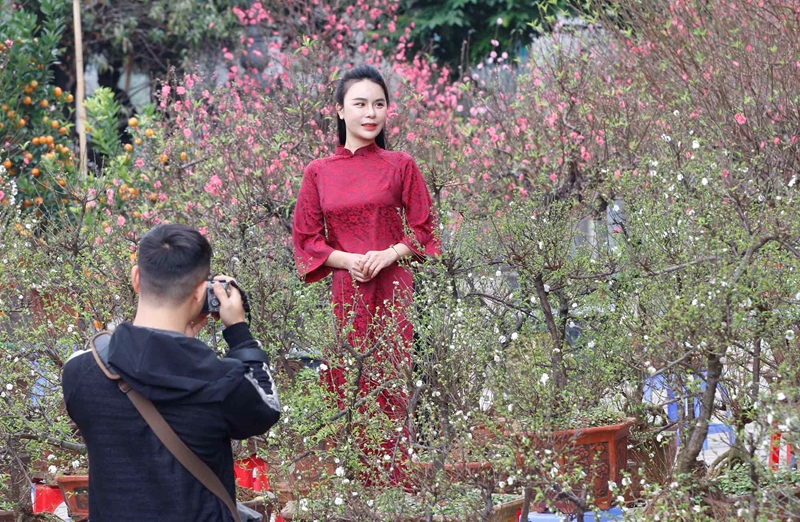 Sắc xuân rộn ràng trên khắp phố phường Hà Nội