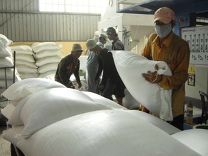 Contracts worth 2 3 million tonnes of rice signed for 2010