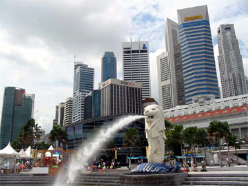 Local travel market busy with tours during Lunar new year festival