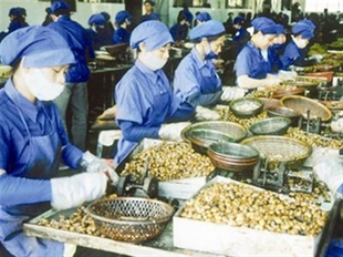 Import and export value hit US 56 6 billion in 2009