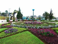 Da Lat Flower Festival 2010 opens