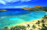 Người Việt ở Hawaii