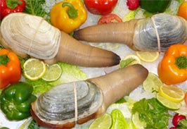 Canadian seafood promotion “Passion for the sea”