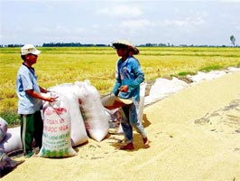 Banks to back rice production
