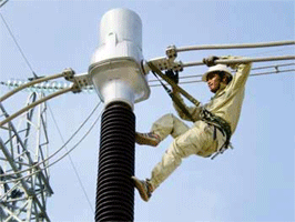 Deputy PM calls for expedited power pricing plan