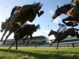Horse racetrack to be built in Binh Phuoc
