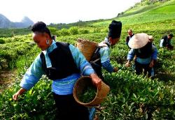 Báo cáo nhân quyền Mỹ Thiên kiến và sai lệch