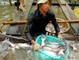 US slashes anti-dumping duties for Vietnamese seafood