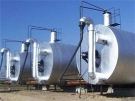 Biogas-fueled power plant inaugurated in HCM City
