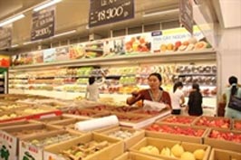 Vietnam focuses on controlling trade deficit and CPI in 2010