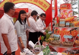 First cashew trading floor opens in Binh Phuoc