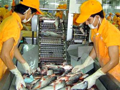 Four local enterprises enjoy 0 tariff with seafood exports to US