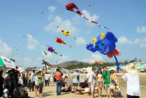 Vung Tau sets up second International Kite Festival 2010