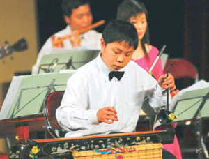 Đàn bầu Việt Nam ngân nga cung thanh, cung trầm