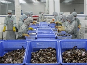 Vietnam requests WTO panel on US shrimp duties