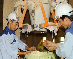Co cụm vì lãi suất cao