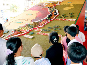 First Vietnam Fruit Festival opens