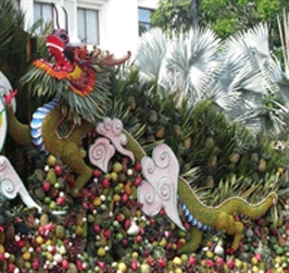 Fruit Festival wrapped up in Tien Giang
