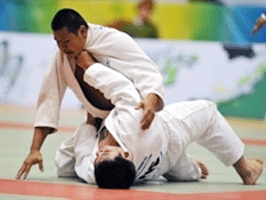 Vietnam wins six golds at Int’l Judo Tournament