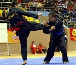 Thanh Hoa hosts 2010 Pencak Silat SEA champs