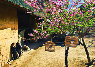 沙巴：魅力之地