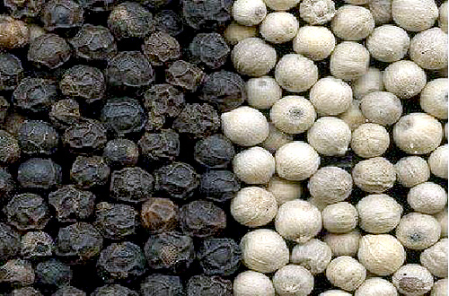 US inspects Vietnam’s pepper processing businesses
