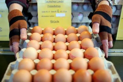 La contamination à la dioxine en Allemagne a été décelée dès mars 2010