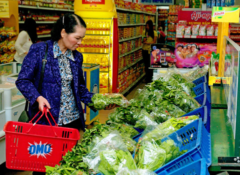 CPI in first month of 2011 rises 1 74