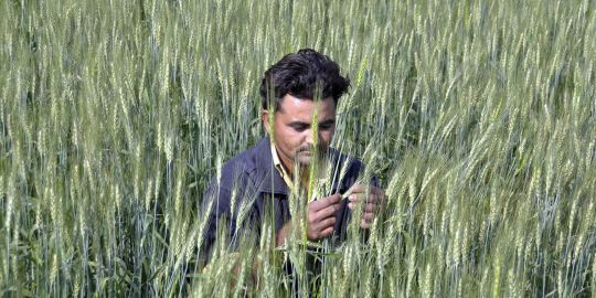 Le réchauffement climatique menace l agriculture