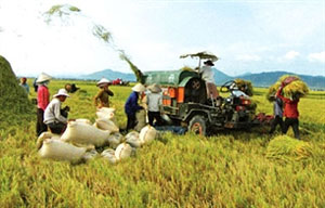 Agricultural sector calls for more investment