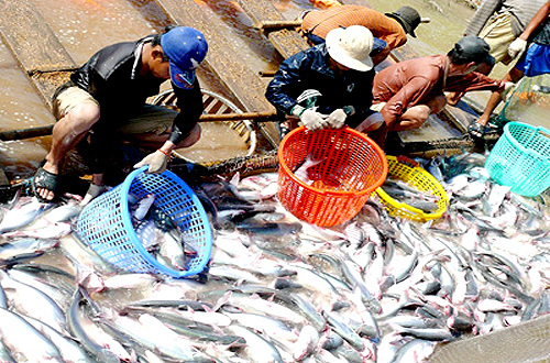 Seafood output rises by 5 4 percent since earlier this year
