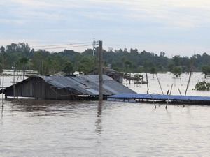 九龙江平原连降暴雨引发洪水已致8人死亡