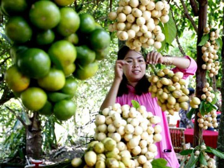 Vietfruit 2011 to open in Tien Giang