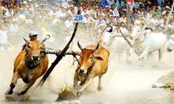 An Giang prochaine 5è Fête culturelle, sportive et touristique des Khmers du Sud 2011