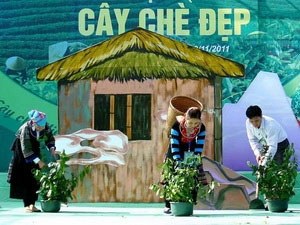 “美丽茶树比赛”在太原省举行