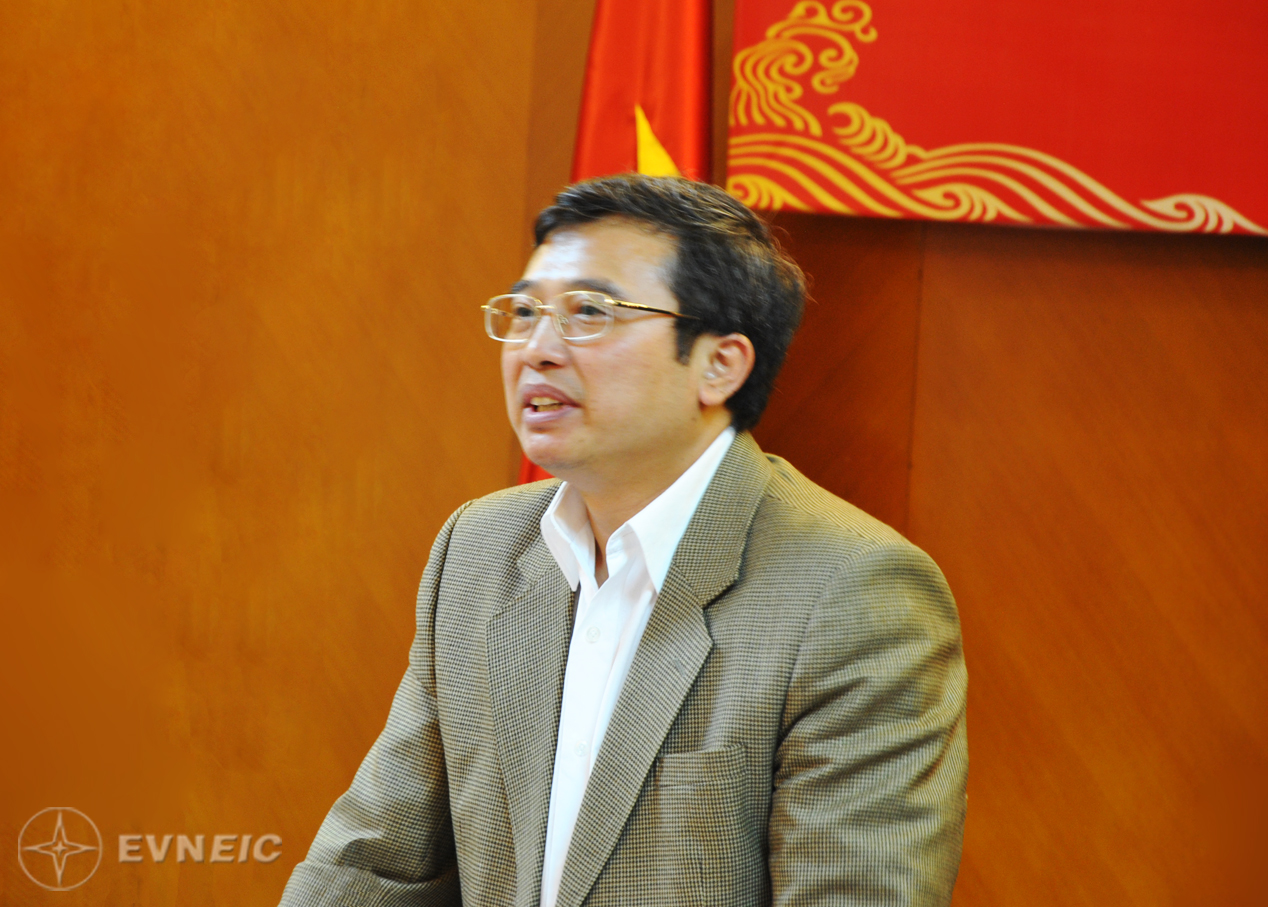 Năm 2010 EVN bị lỗ vì giá điện thấp