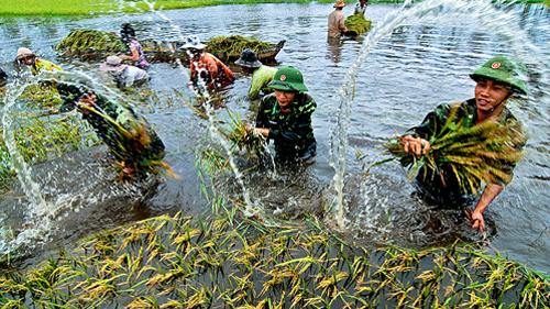 Rice Photography Competition announced winners