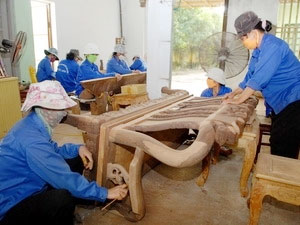 Vietnam and EU negotiate forestry law, partnership