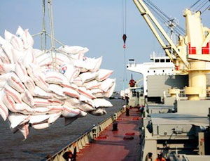 The Philippines to import Vietnamese rice