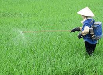 Vĩnh Phúc Khẩn trương, tích cực phòng trừ dịch bệnh vụ Đông 2011