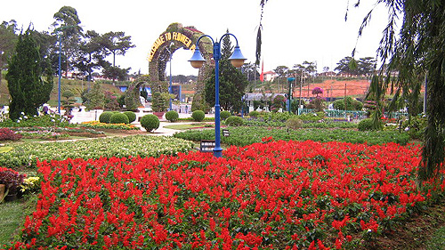 22 billion VND for Dalat Flower Festival 2012
