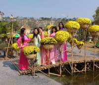 HCM-Ville foire aux fleurs printanières pour accueillir le Têt