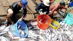 Vietnamese tra fish moving towards WWF sustainable certification