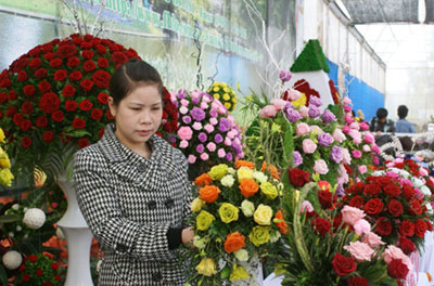 大叻市举行国际盆景花卉展开幕式