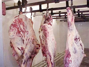 Agriculture reduces trade deficit