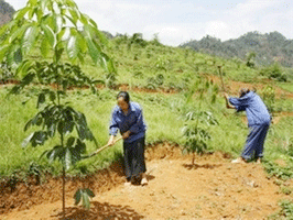 Vietnamese businesses praise investment prospects in Laos