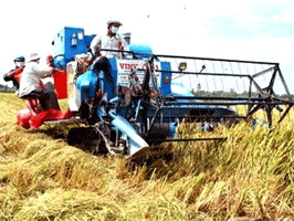 Mekong delta obtains high GDP in 2010