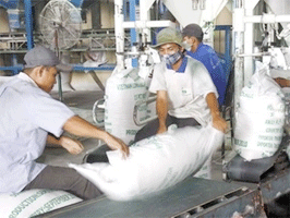 January rice exports hit record