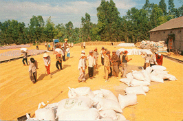 Agroforestry-seafood exports up 13 pct in January