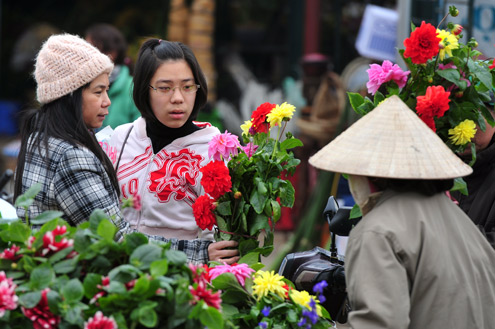 Flower markets in Hanoi bustling for Tet
